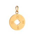 Gold color / 1 Piece Simple Series Copper Coin Shape Stainless Steel  Gold Color Women's Pendants Picture3